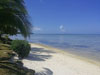  Haapiti: Terrain  vendre sur Moorea en bord de route - Accs belle plage blanche!