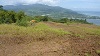 Terrain sur  Taravao Afaahiti