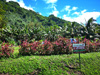 Mataiea: Terrain 500 m2 @ 8.200.000 F viabilis en eau et lectricit